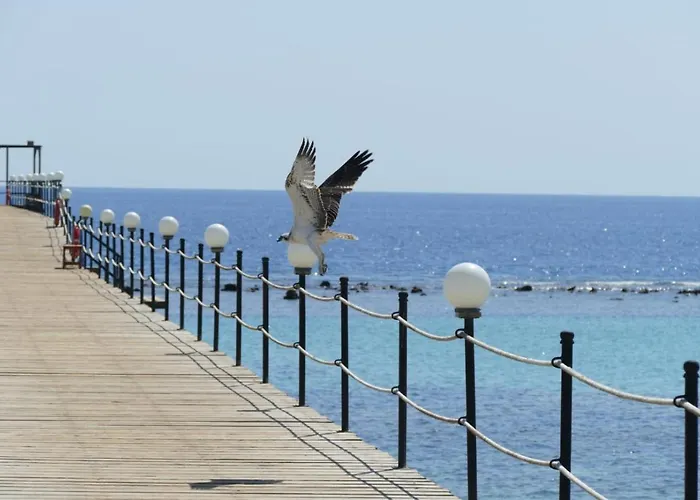 Wadi Lahmy Azur - Soft Resort