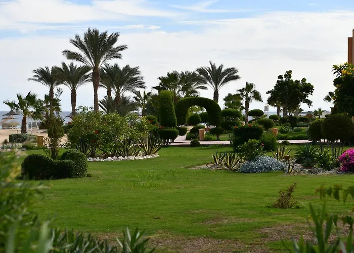 Resort Wadi Lahmy Azur - Soft