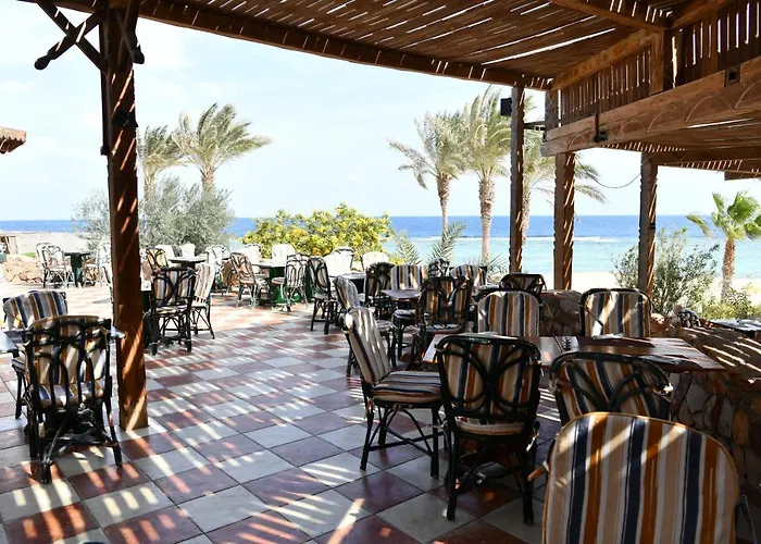 Wadi Lahmy Azur - Soft Resort