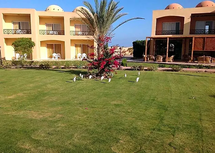 Wadi Lahmy Azur - Soft