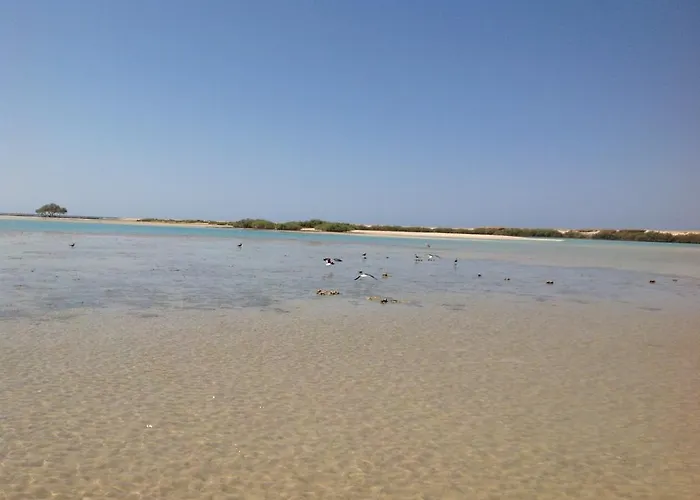 Wadi Lahmy Azur - Soft Resort Râs Banâs